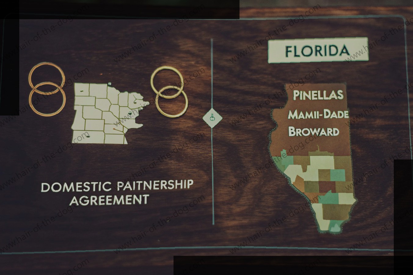 Domestic Partnership vs Marriage in Florida: 7 Important Distinctions and Legal Consequences
