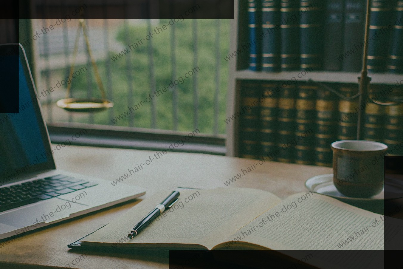 Employing Expert Legal Writers: The Complete Guide