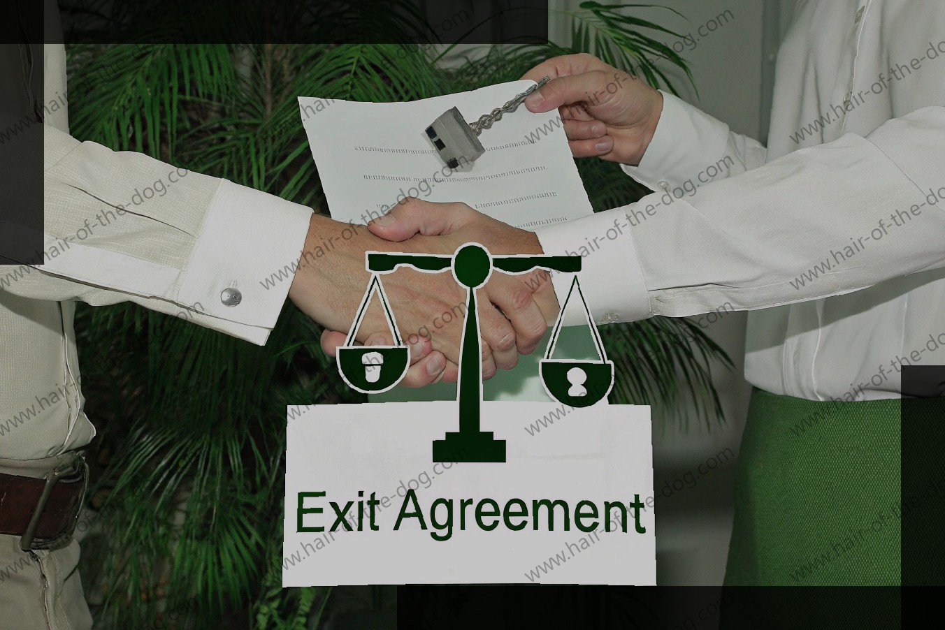 Get to Know Exit Agreements: Best Practices and Insights