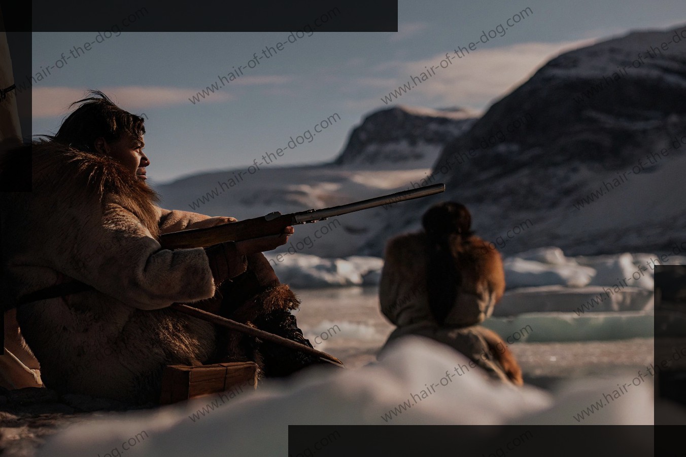 Gun Laws In Greenland: A Fully Comprehensive Guide