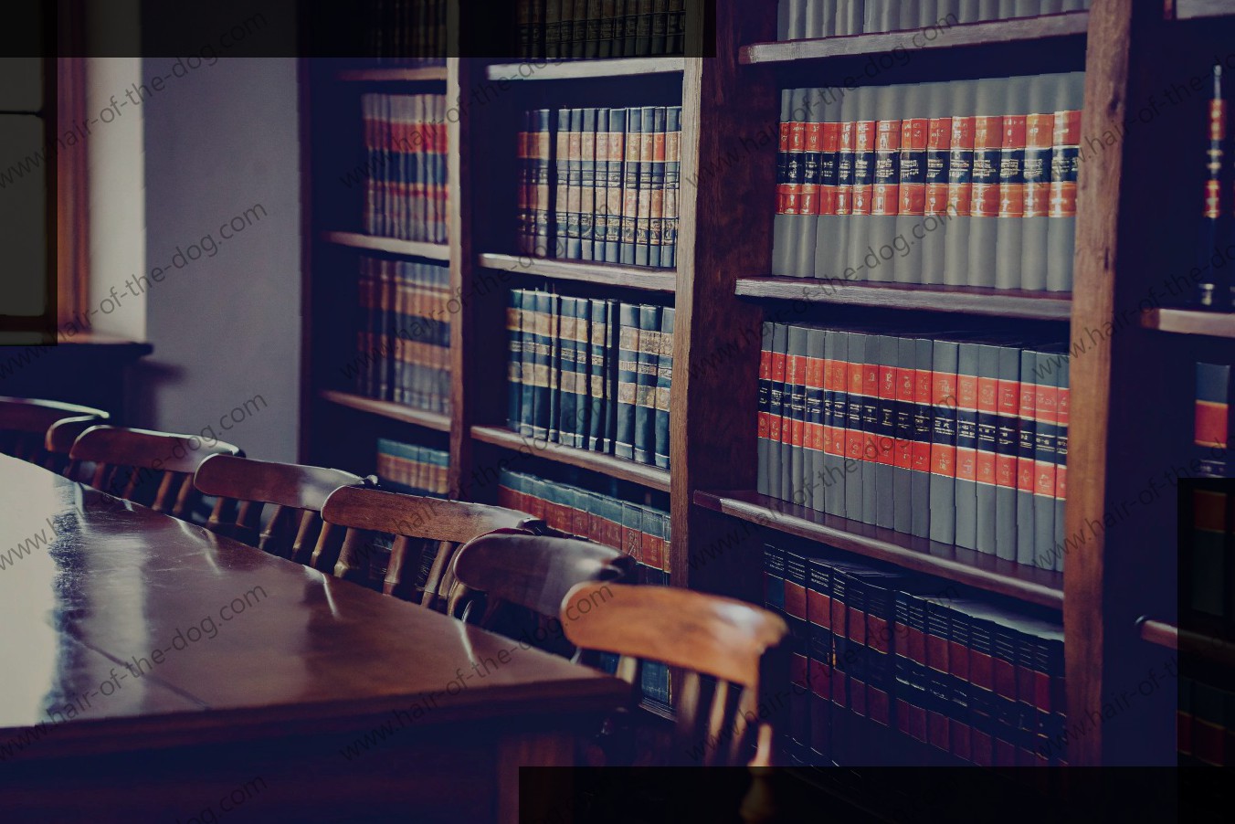 The Definitive Guide to Case Law Books: Unlocking the Vaults of Precedents and Jurisprudence